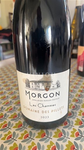 Beaujolais Morgon Domaine S Pillets Les Charmes 2023