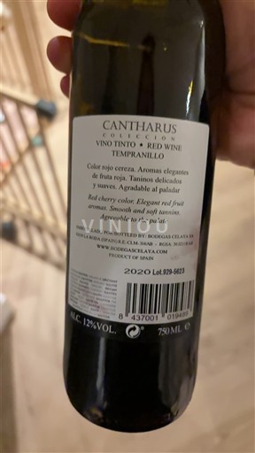 Kastilie - La Mancha La Mancha Bodega Cielar S.A Cantharus Colección 2020