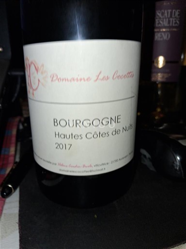 Bourgogne Hautes Côtes de Nuits Domaine Les Cocottes 2017