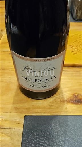 Valle della Loira Saint-Pourçain Domaine Billaud-Chambe 2023
