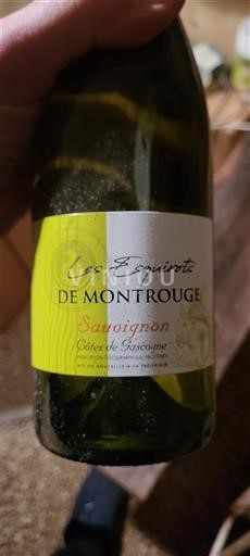 Zuidwest-Frankrijk Côtes de Gascogne Les Esquirots de Montrouge Sauvignon Niet-geïntegreerd