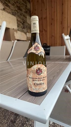 Bourgogne Chablis Domaine Des Petits Bouchons Droite de brechain 2023