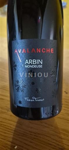 Savoyen und Bugey Mondeuse Fabien Trosset Avalanche 2023
