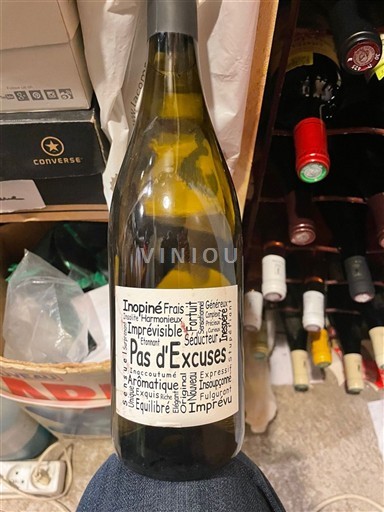 Vallée de la Loire Pas d’Excuses Non Millésimé