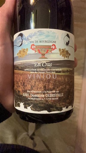 Bourgogne Domaine Breuille En Cras 2024
