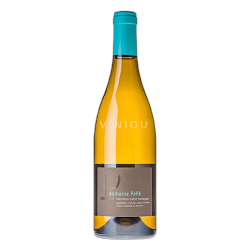 Valle del Loira Menetou-Salon Domaine Pellé Menetou-Salon Morogues 2023