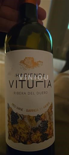 Castilien og León Ribera del Duero Hacienda Vitulia 2022