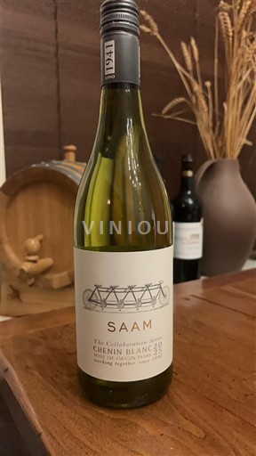 Kystregion Paarl SAAM The Collaboration Series 2025