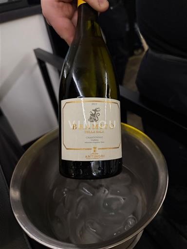 Ombrie Antinori Bramìto della Sala 2023
