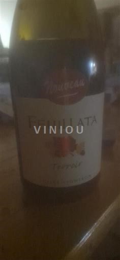 Beaujolais Feuillata 2024 Não Sazonado