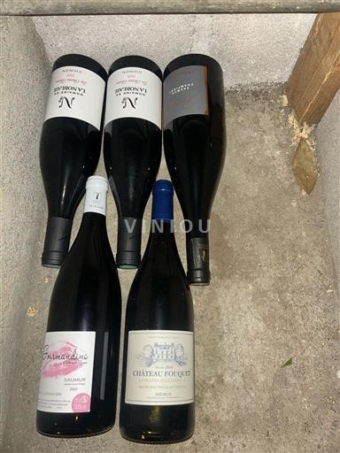 Loire Valley Saumur Château Fouquet 2020