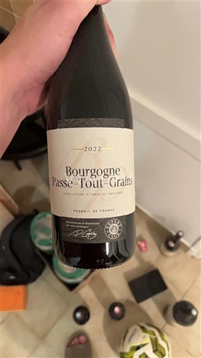 Borgogna Borgogna-passetoutgrain Château Saint leon 2022