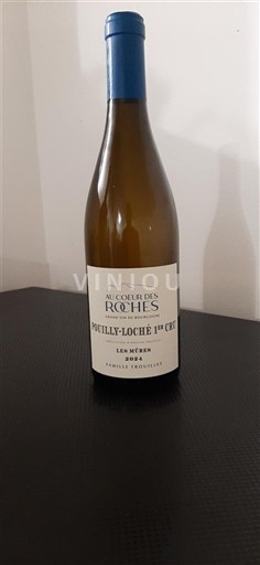 Bourgogne Ikke specificeret Premier Cru Au Coeur des Roches Les Mûres 2024