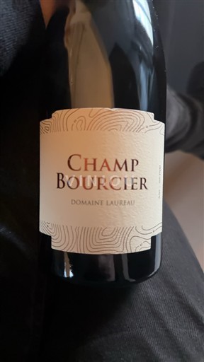 Loiretal Savennières Damien Laureau Champ Bourcier l’icone 2019