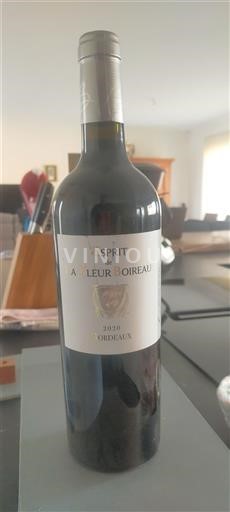 Bordeaux Montagne-saint-émilion La Fleur Boireau Esprit de La Fleur Boireau 2020