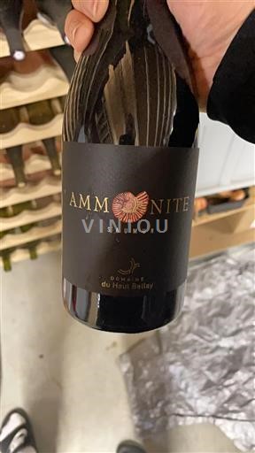 Loire-dalen Saumur Domaine Haut Bellay Ammonite Ikke årgangsbestemt