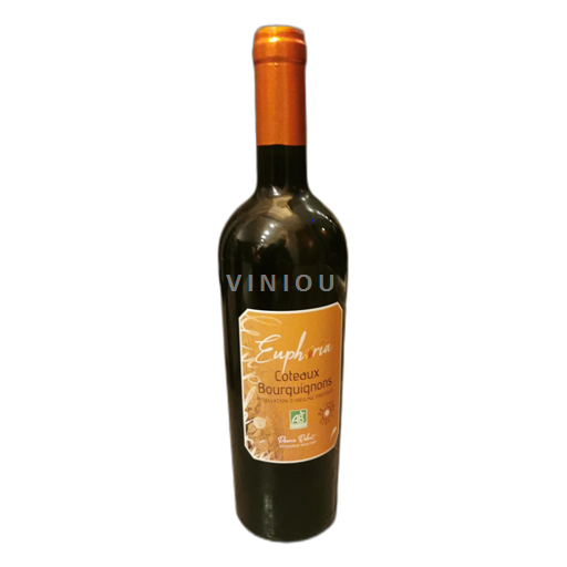 Burgundi Burgundin rinteet Euphoria 2022