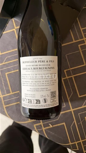 Bourgogne Coteaux bourguignons Dufouleur Père & Fils Henry Dufouleur Non Millésimé