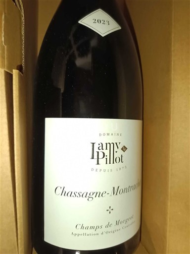 Bourgondië Chassagne-Montrachet Domaine Lamy-Pillot Champs de Morget 2023