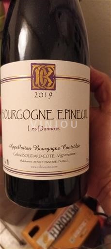 Borgoña Borgoña Epineuil Céline Boudard-coté Les Dannots 2019