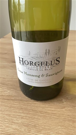 Wijnen Blanc sec Gros Manseng & Sauvignon Horgelus 2025 Frankrijk Zuidwest-Frankrijk Côtes de Gascogne IGP