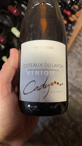 Vale do Loire Coteaux-du-layon Cady 2013