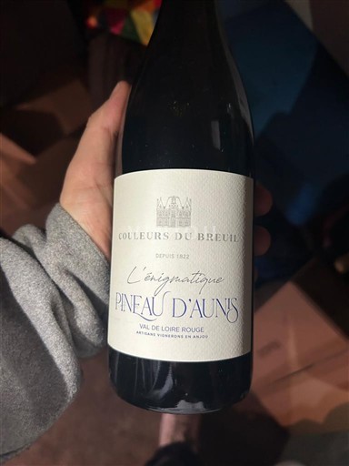 Dolina Loare Couleurs du Breuil L'énigmatique Neleten.