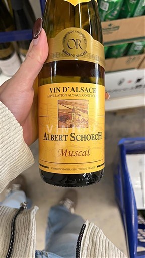 Alsace Albert Schoech Muscat Non Millésimé