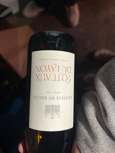 Valle del Loira Coteaux-du-Layon Château Breuil Coteaux du Layon Sin añada