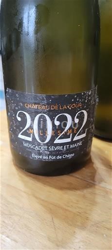Vallée de la Loire Muscadet-sèvre-et-maine Château La Cour 2022