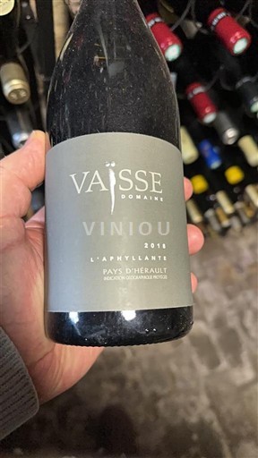 Languedoque Não especificado Domaine Vaïsse L'Aphyllante 2018