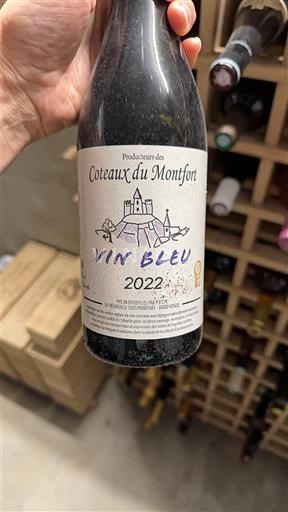 Southwest Not Specified Coteaux du Montfort Vin Bleu 2022