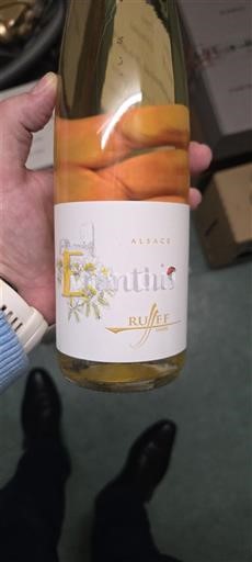 Elzas Rufef Enthis 2024