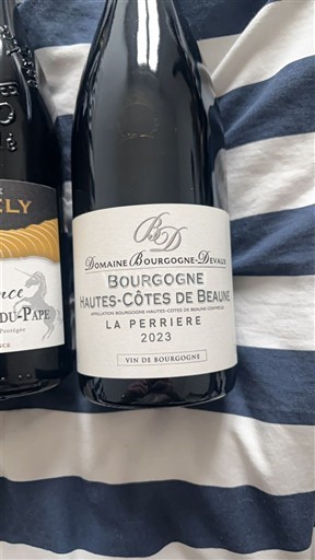 Бургундія Не вказано Domaine BOURGOGNE-DEVAUX La Perrière 2023