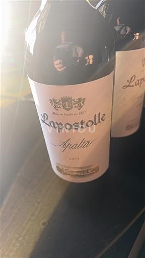 Colchagua Valley Unspecified Lapostolle Apalta 2022