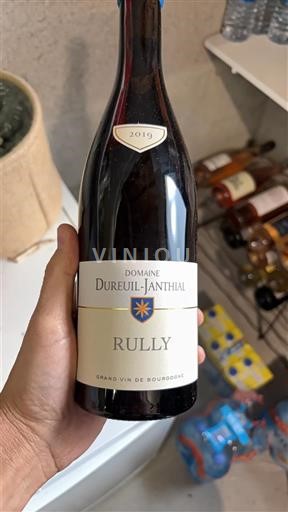 Burgundi Rully Domaine Reuil-Janthial 2019