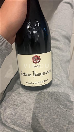 Bourgogne Bourgogne skråninger Domaine Michel Noëllat 2022