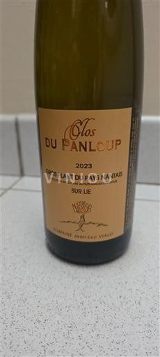 Vallée de la Loire Gros-plant-du-pays-nantais Domaine Jean-Luc Viaud Clos du Panloup 2023