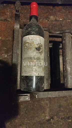 Bordéus Montagne-saint-émilion Château Cazelon 2002