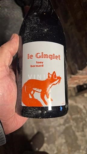 Jura Arbois Tony Bornard Le Ginglet 2021