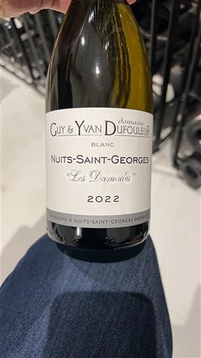 Burgund Nuits-Saint-Georges Domaine Guy & Yvan Dufouleur Les Damodes 2022