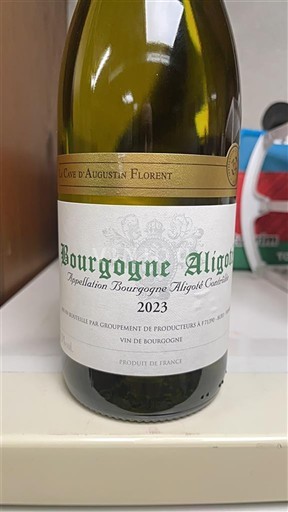 Burgundi Bourgogne Aligoté La Côte d'Augustin Florent 2023