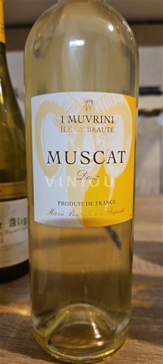 Korsika Ostrov Krásy I Muvrini Île de Beauté Neročník