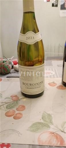 Borgogna Borgogna Chardonnay Michel Mallard 2023