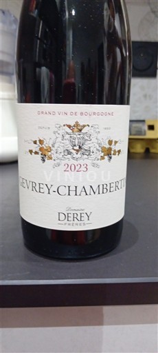 Burgundy Gevrey-Chambertin Domaine Rey Frères 2023