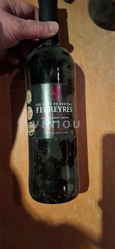Burdeos Bordeaux Château Les Vins du Château Ferreyres 2019