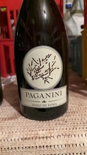 Vénétie Soave Paganini Sasso di Luna Non Millésimé
