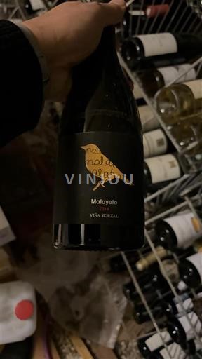 Navarra Viña Zorzal Malayeto 2019