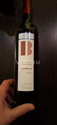 Loirevallei Saumur-champigny Domaine Champigny La Badelle 2021