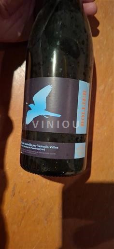 Dolina Loare Vadetotin Vallées Rollier 2009